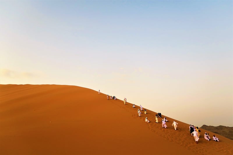 Desert Expedition