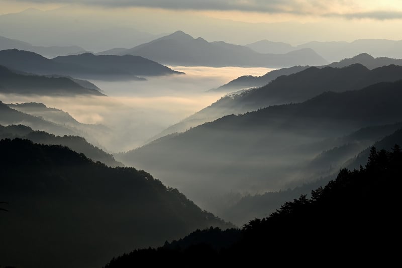 Travelers enjoying a scenic view